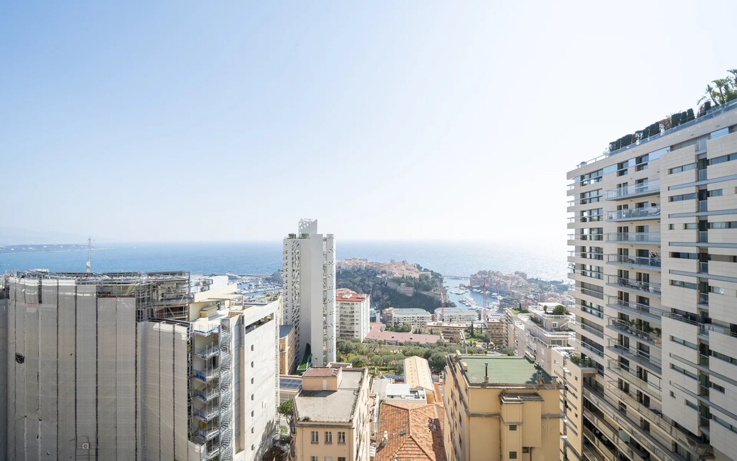 Patio Palace - 5 Pièces - Vue Mer Panoramique, Jardin Exotique, Monaco - 12