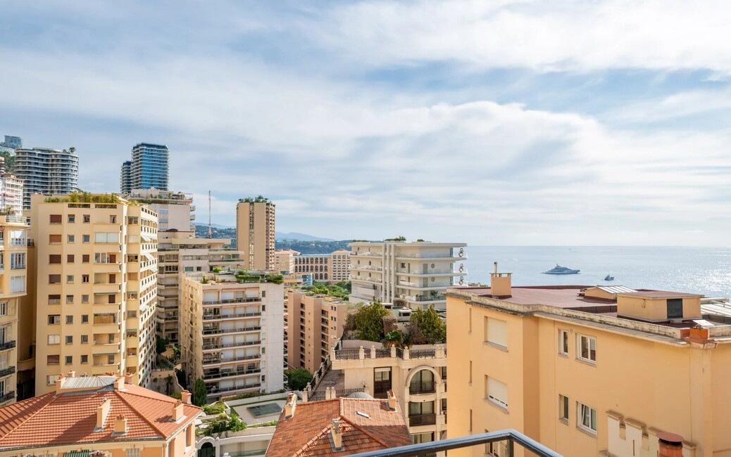 Radieuse - 2 Pièces Rénové et Meublé - Vue Mer, La Rousse - Saint Roman, Monaco - 13