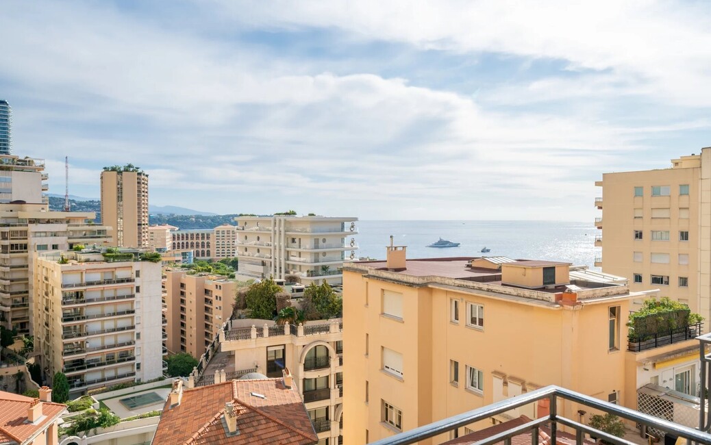 Radieuse - 2 Pièces Rénové et Meublé - Vue Mer, La Rousse - Saint Roman, Monaco - 12