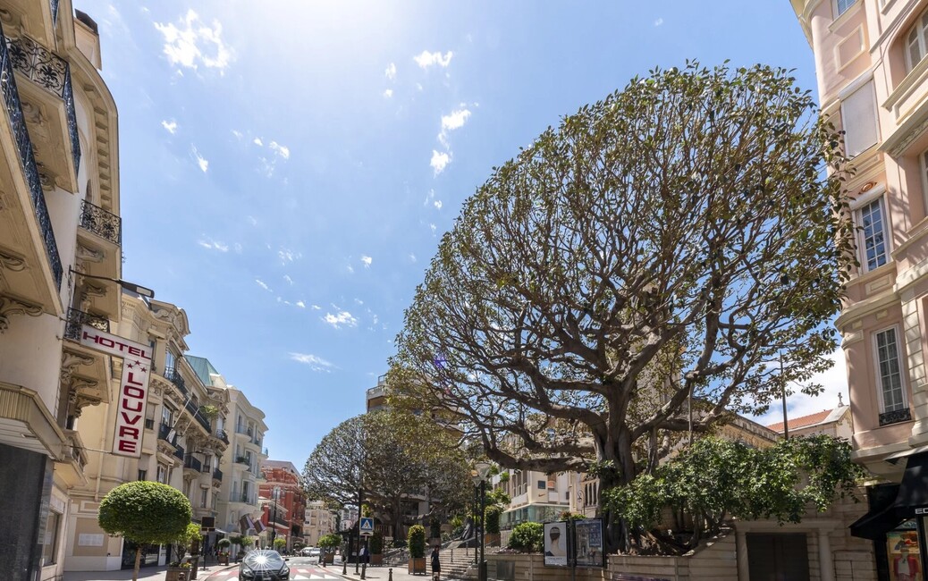 Boulevard des Moulins - Fonds de Commerce, Monte-Carlo, Monaco - 3