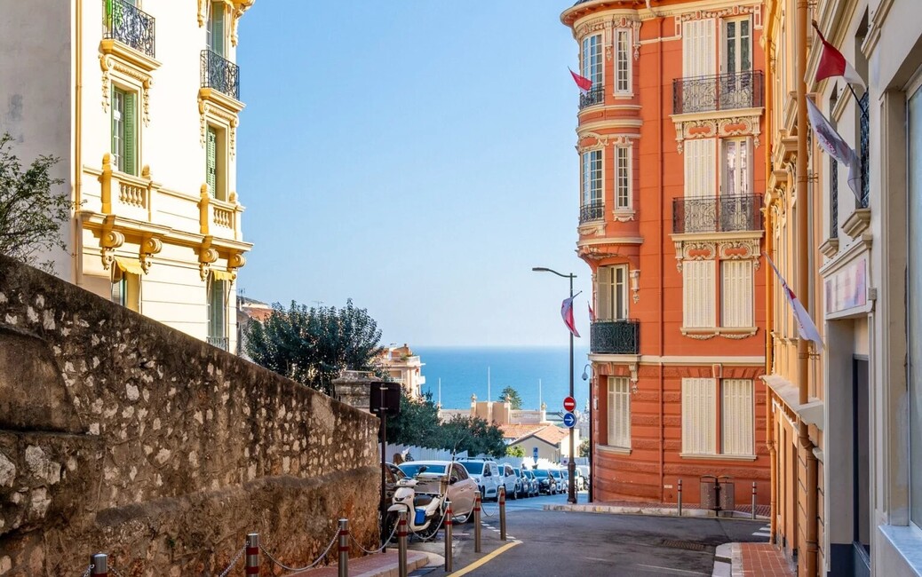 Olivettes - 2/3 Pièces - Penthouse, Monte-Carlo, Monaco - 11