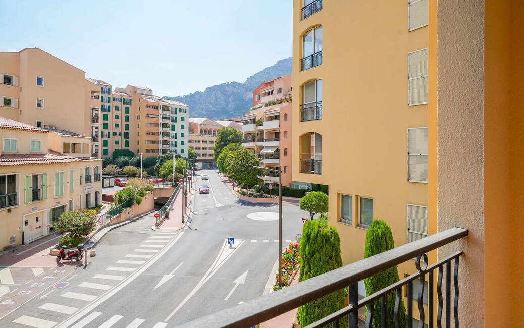 Botticelli - Renovated 2-Room Flat, Fontvieille, Monaco - 13